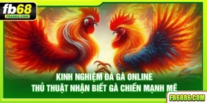 Kinh nghiệm đá gà online - Thủ thuật nhận biết gà chiến mạnh mẽ