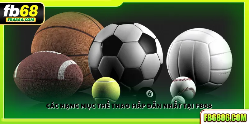 Các hạng mục thể thao hấp dẫn nhất tại FB68