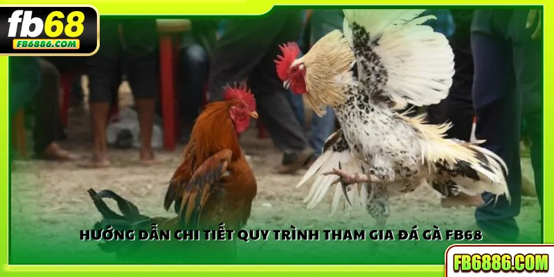 Hướng dẫn chi tiết quy trình tham gia đá gà FB68